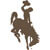 Wyoming Cowboys