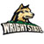 Wright State Raiders